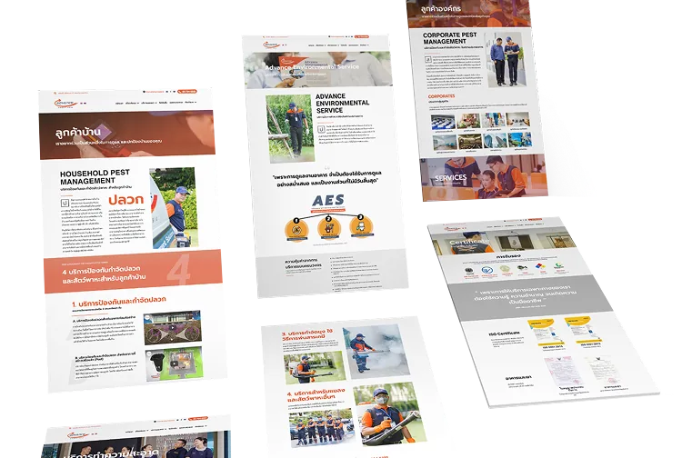 Web design service illustration by DECR